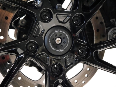 Performance Achsenschutz BMW R 1200 GS