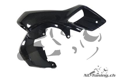 Carbon Ilmberger Vindtunnel / vattenkylarskyddssats BMW R 1200 GS