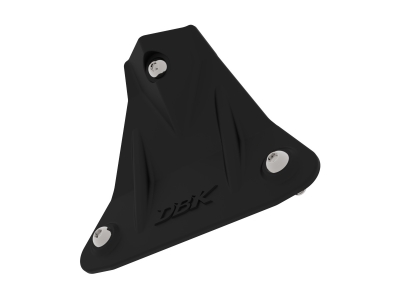DBK Carbon Kennzeichenhalterabdeckung Aprilia RSV4 1100