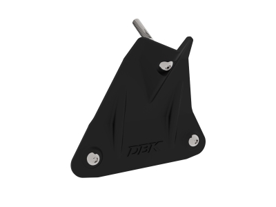 DBK Carbon Kennzeichenhalterabdeckung Aprilia RSV4 1100