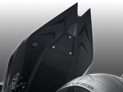 DBK Carbon Kennzeichenhalterabdeckung Aprilia Tuono V4