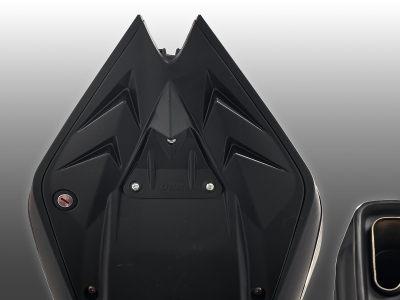 DBK Carbon Kennzeichenhalterabdeckung Aprilia Tuono V4