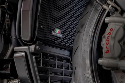 Performance K�hlerschutzgitter Aprilia Tuono V4