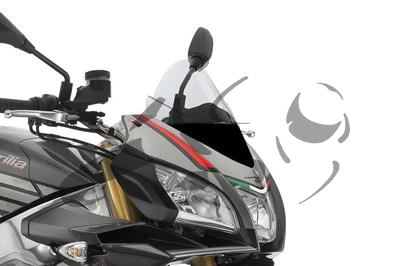 Puig Racing disco Aprilia Tuono 125