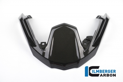 Carbon Ilmberger Schnabelverlngerung vorne BMW R 1200 GS