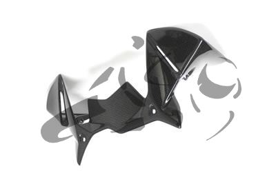 Carbon Ilmberger winddeflector op cockpit BMW R 1200 GS