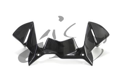 Carbon Ilmberger winddeflector op cockpit BMW R 1200 GS