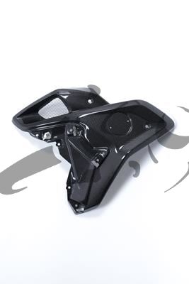 Set galleria del vento in carbonio BMW R 1200 GS