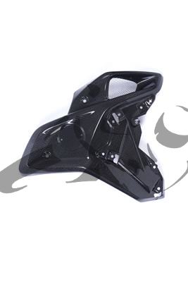 Set galleria del vento in carbonio BMW R 1200 GS