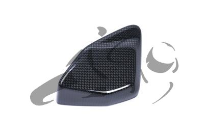Funda carbono Ilmberger caja ESA BMW R 1200 GS
