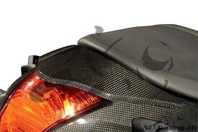 Carbon Ilmberger bakre skyddstopp BMW R 1200 R