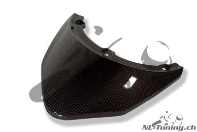 Tapa trasera de carbono Ilmberger BMW R 1200 R