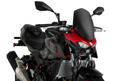 Puig Tourenscheibe Kawasaki Z500