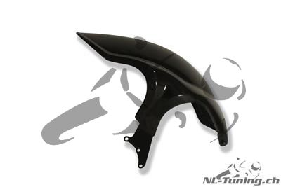 Carbon Ilmberger rear fender with ESA BMW R 1200 R