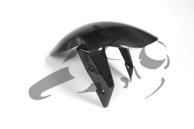 Parafango anteriore in carbonio Ilmberger BMW R 1200 R