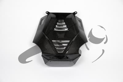 Carbon Ilmberger Motorspoiler Mittelteil BMW R 1200 R
