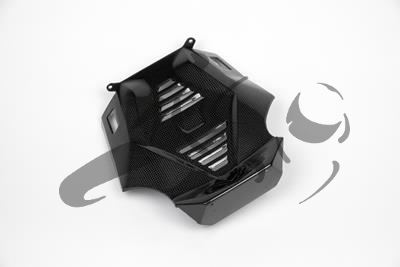 Carbon Ilmberger Motorspoiler Mittelteil BMW R 1200 R
