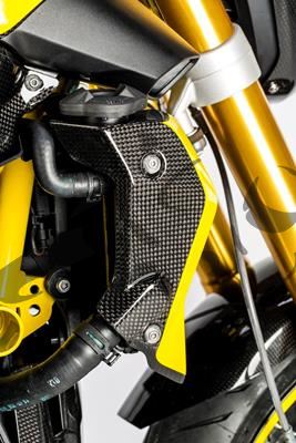 Carbon Ilmberger waterkoelerafdekkingen set BMW R 1200 R