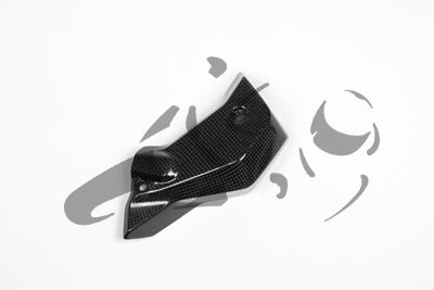 Carbon Ilmberger waterkoelerafdekkingen set BMW R 1200 R