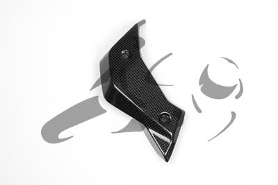 Carbon Ilmberger waterkoelerafdekkingen set BMW R 1200 R