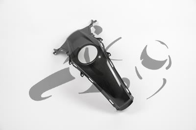 Coperchio serbatoio in carbonio BMW R 1200 RS