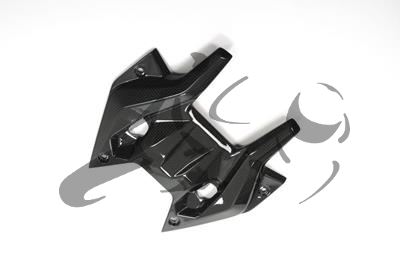 Carbon Ilmberger cockpitafdekking top BMW R 1200 RS
