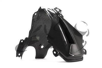 Carbon Ilmberger kuipkap BMW R 1200 RS