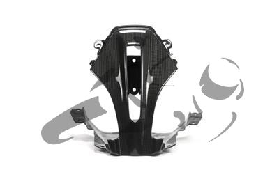 Carbon Ilmberger Verkleidungsmittelteil oben BMW R 1200 RS