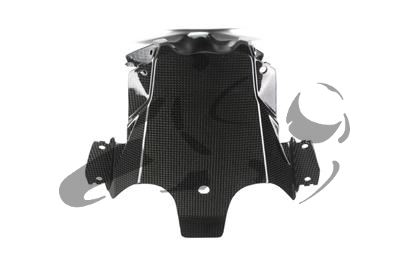 Carbon Ilmberger Verkleidungsmittelteil oben BMW R 1200 RS