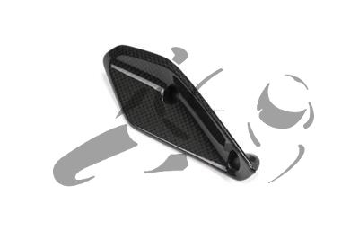 Carbon Ilmberger Verkleidungswinglet Set BMW R 1200 RS