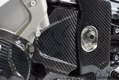 Carbon Ilmberger Ritzelabdeckung BMW S 1000 RR