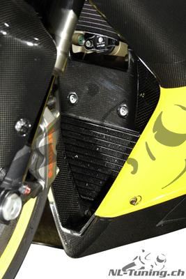 Carbon Ilmberger fairing insert Ducati 848