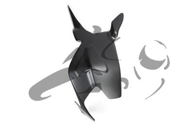 Carbon Ilmberger swingarm cover Ducati Panigale 1299