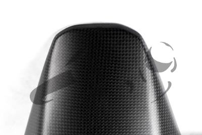 Carbon Ilmberger afdekking achterwiel Ducati Monster 1200 R