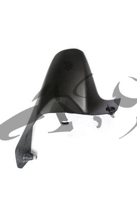 Carbon Ilmberger afdekking achterwiel Ducati Monster 1200 R