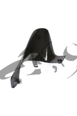 Carbon Ilmberger afdekking achterwiel Ducati Monster 1200 R