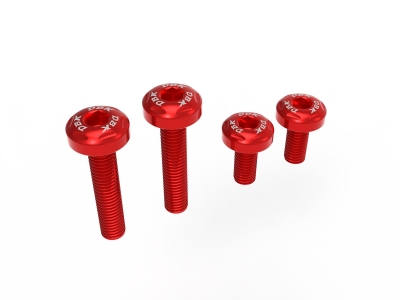 DBK Schrauben Set untere Heckabdeckung Ducati Panigale V2