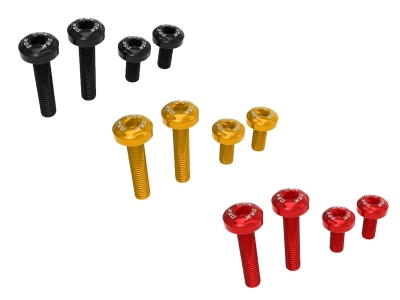 DBK Schrauben Set untere Heckabdeckung Ducati Panigale V2
