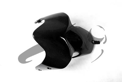 Carbon Ilmberger front wheel cover Ducati Monster 1200