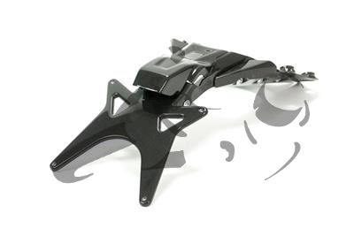 Carbon Ilmberger license plate holder Ducati Monster 1200