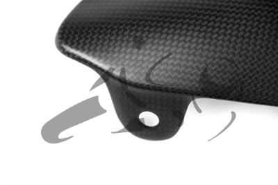 Carbon Ilmberger kofferbeschermer op uitlaat Ducati Monster 1200