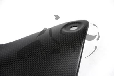 Carbon Ilmberger kofferbeschermer op uitlaat Ducati Monster 1200