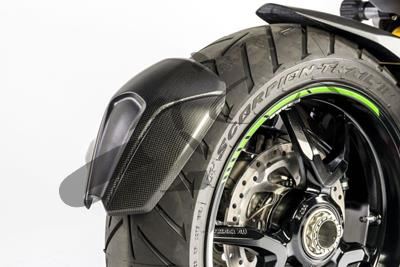Proteccin trasera de carbono Ilmberger Ducati Multistrada 1200