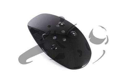Carbon Ilmberger splash guard Ducati XDiavel