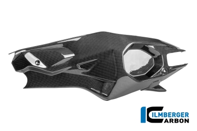 Carbon Ilmberger Schwingenabdeckung Set Ducati Panigale V4R