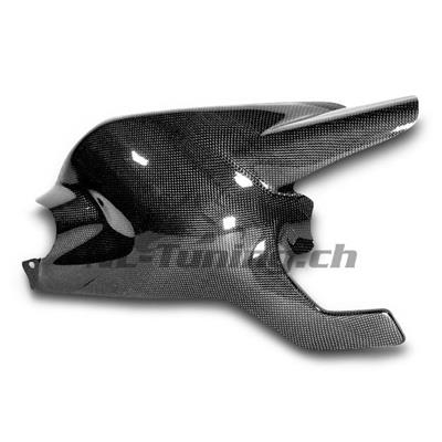 Carbon Ilmberger swingarm cover Ducati Monster 1100