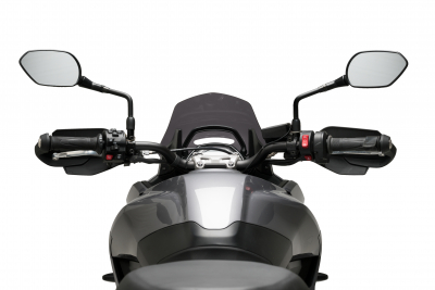 Puig Sportscheibe Triumph Tiger Sport 660