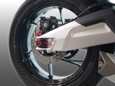 DBK Hinterachsenschutz Aprilia RS 660
