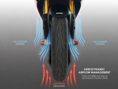 DBK Carbon Radabdeckungs-Set Ducati Panigale V2