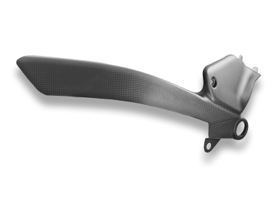 DBK vordere Carbon Seitenabdeckungen Ducati Panigale V4
